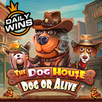 Vs20doghouse2